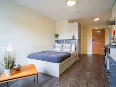 Estúdio em residência em 17 Beaverbank Pl, Edinburgh EH7 4FB, United Kingdom, imagem 19 de 28