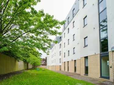 Studio im Wohnheim in der 17 Beaverbank Pl, Edinburgh EH7 4FB, United Kingdom, bild 25 von 28