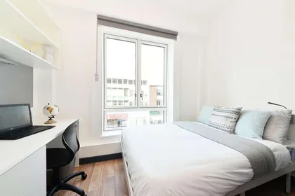 Özel oda konumu 6 Raleigh St, Plymouth PL1 1ET, United Kingdom, 1 10 görüntüsü
