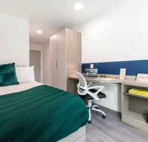 Private room in residence at 17 Hollis Croft, Sheffield City Centre, Sheffield S1 4NQ, United Kingdom, image 32 of 37