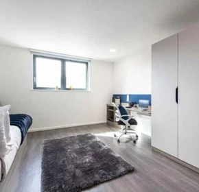 Private room in residence at 17 Hollis Croft, Sheffield City Centre, Sheffield S1 4NQ, United Kingdom, image 36 of 37