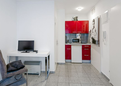 Great studio apartment in Mainz