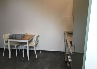 Stylowe mieszkanie typu studio w Hanower