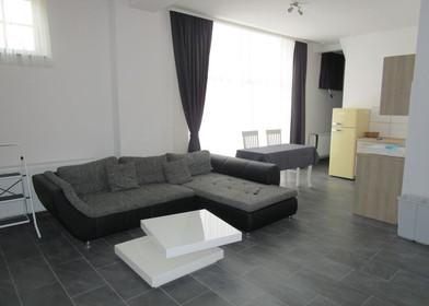 Hannover de modern ve aydınlık daire