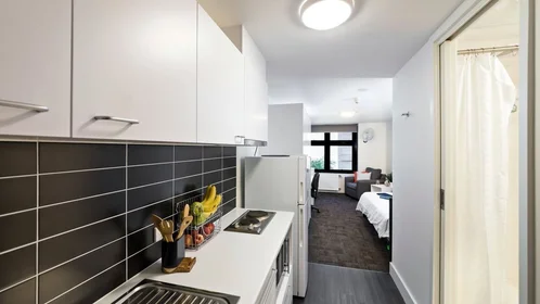 Studio en résidence à 20 Telita St, Bruce ACT 2617, Australia, image 38 de 42
