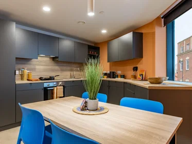 Quarto privado em residência em 16 Moon St, St Paul's, Bristol BS2 8QY, UK, imagem 36 de 46