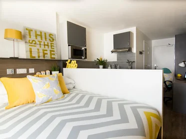 Entire apartment in residence at 39 Cobourg St, Plymouth PL1 1SP, United Kingdom , image 4 of 12