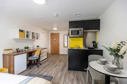 Quarto privado em residência em Servia Rd, Woodhouse, Leeds LS7 1AW, United Kingdom      , imagem 24 de 42