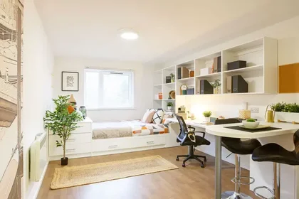 Studio en résidence à 135 Alexandra Rd, Mutley, Plymouth PL4 7EG, United Kingdom       , image 15 de 19
