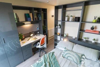 Stanza privata in Oxford St, Newcastle upon Tyne NE1 8AA, United Kingdom, immagine 1 di 10