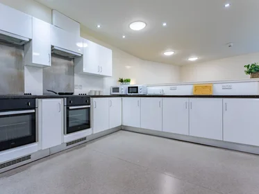Özel oda Ikamet yerinde konumu 2 Powis Pl, Aberdeen AB25 3TX, United Kingdom      , 19 27 görüntüsü