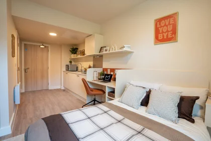 Monolocale in residence in 15 Foss Island, York, YO31 7UL, immagine 2 di 30