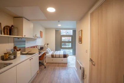 Monolocale in residence in 15 Foss Island, York, YO31 7UL, immagine 5 di 30