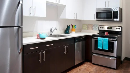 Appartamento intero in residence in  28 E Jackson Blvd, Chicago, IL 60604, United States, immagine 14 di 32