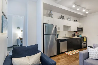 Appartamento intero in residence in  28 E Jackson Blvd, Chicago, IL 60604, United States, immagine 4 di 32