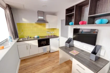 Estudio en residencia en 51 Hounds Gate, Nottingham NG1 6BB, United Kingdom, imagen 2 de 24