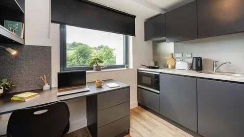 Estudio en residencia en Lower Bristol Road, Bath, BA2 1FH, imagen 3 de 38