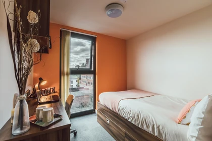 Chambre privée en résidence à 17 Hill St, Stoke-on-Trent ST4 1NL, United Kingdom              , image 2 de 33