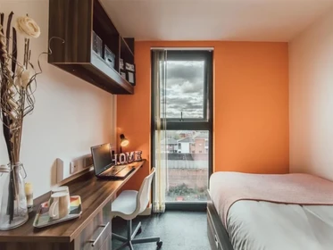 Chambre privée en résidence à 17 Hill St, Stoke-on-Trent ST4 1NL, United Kingdom              , image 14 de 33