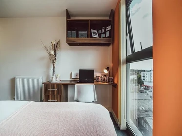 Chambre privée en résidence à 17 Hill St, Stoke-on-Trent ST4 1NL, United Kingdom              , image 17 de 33