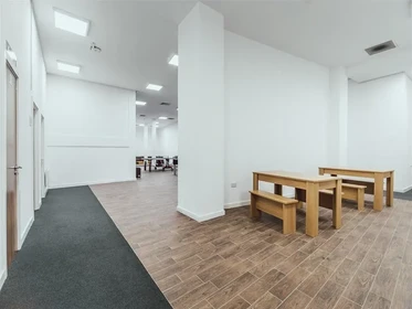 Chambre privée en résidence à 17 Hill St, Stoke-on-Trent ST4 1NL, United Kingdom              , image 25 de 33