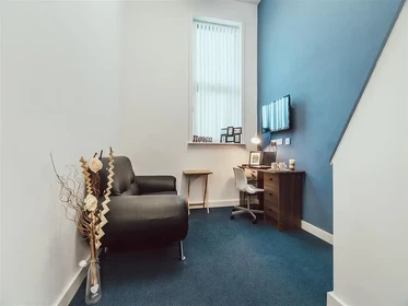 Chambre privée en résidence à 17 Hill St, Stoke-on-Trent ST4 1NL, United Kingdom              , image 30 de 33