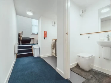 Chambre privée en résidence à 17 Hill St, Stoke-on-Trent ST4 1NL, United Kingdom              , image 32 de 33