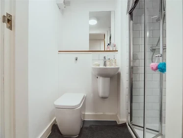 Chambre privée en résidence à 17 Hill St, Stoke-on-Trent ST4 1NL, United Kingdom              , image 33 de 33