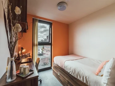 Chambre privée en résidence à 17 Hill St, Stoke-on-Trent ST4 1NL, United Kingdom              , image 6 de 33