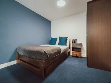 Chambre privée en résidence à 17 Hill St, Stoke-on-Trent ST4 1NL, United Kingdom              , image 7 de 33