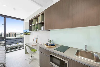 Kawalerka w rezydencji 118 Merivale St, South Brisbane QLD 4101, Australia, obraz 2 42