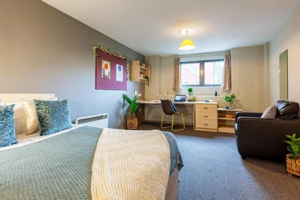 Chambre privée en résidence à 10 Crown Street, Reading, RG1 2SE, image 1 de 36