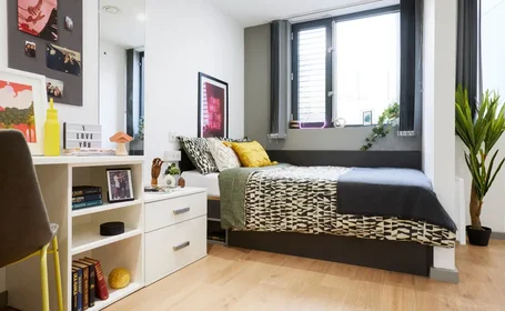 Özel oda Ikamet yerinde konumu Staniforth St, Birmingham B4 7DN, United Kingdom , 14 25 görüntüsü