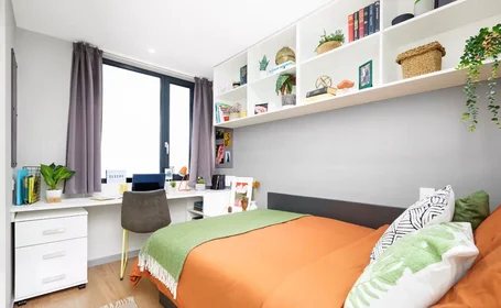 Özel oda Ikamet yerinde konumu Staniforth St, Birmingham B4 7DN, United Kingdom , 23 25 görüntüsü