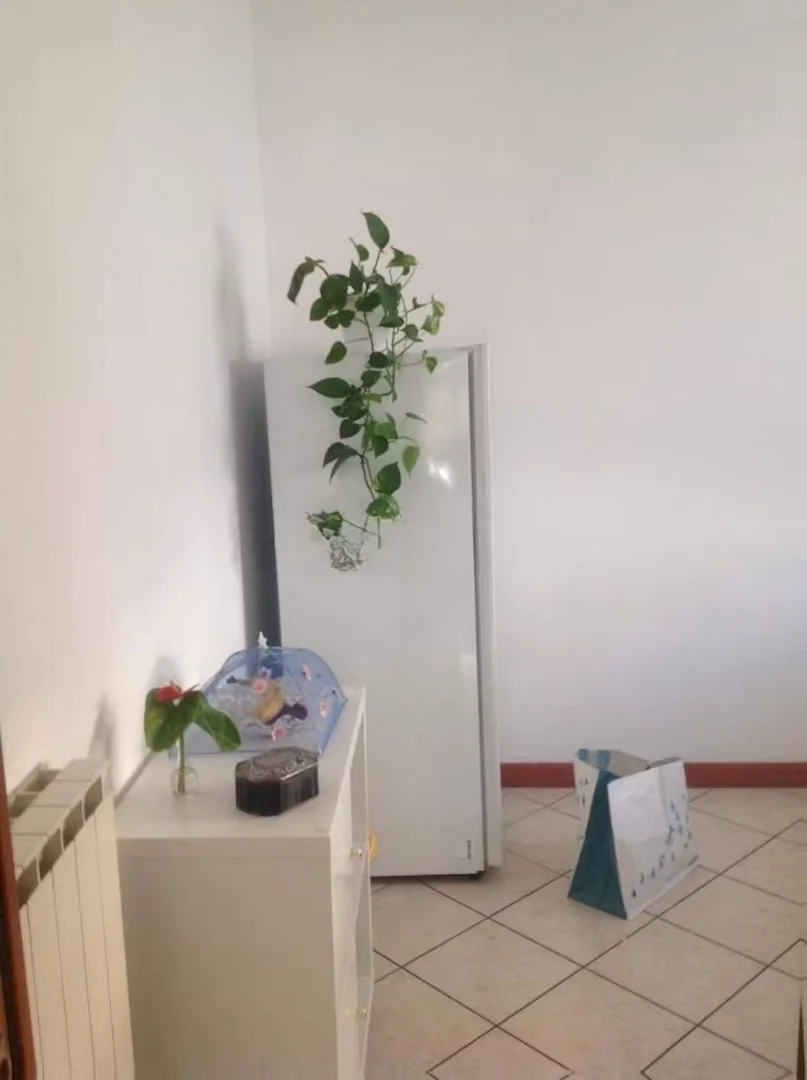Economical student room with convenient location in