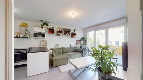 Logement entier à Boulevard Paul Valéry, Croix d'Argent, image 4 de 10