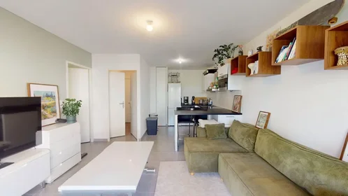 Logement entier à Boulevard Paul Valéry, Croix d'Argent, image 5 de 10