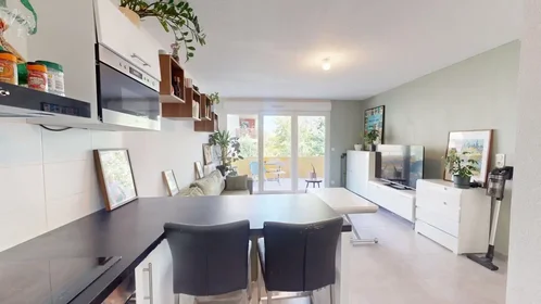 Logement entier à Boulevard Paul Valéry, Croix d'Argent, image 6 de 10