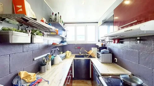 Privatzimmer in der Rue Gabriel Pierné, Sablon, bild 10 von 10