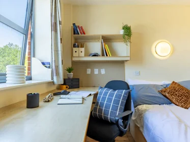 Quarto privado em residência em Erskine St, Liverpool L6 1AH, United Kingdom, imagem 2 de 49
