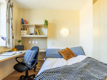 Quarto privado em residência em Erskine St, Liverpool L6 1AH, United Kingdom, imagem 4 de 49