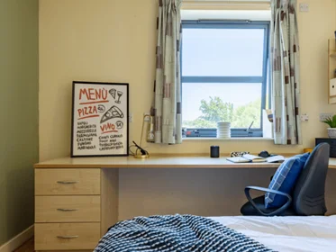 Quarto privado em residência em Erskine St, Liverpool L6 1AH, United Kingdom, imagem 9 de 49