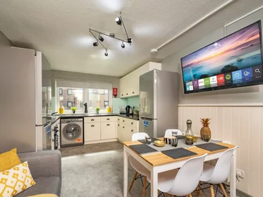 Özel oda Ikamet yerinde konumu Meadow Court, 13 Sciennes, Newington, Edinburgh EH9 1NJ, United Kingdom, 3 15 görüntüsü