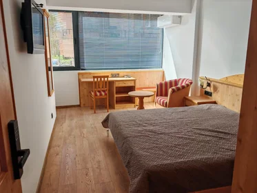 Quarto privado em ulitsa "Danail Dechev", Hladilnika, imagem 7 de 10