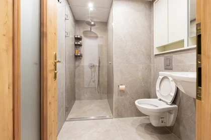 Quarto privado em ulitsa "Danail Dechev", Hladilnika, imagem 10 de 10