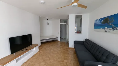 Gesamte Unterkunft in der Havelstraße, Darmstadt-West, bild 8 von 9