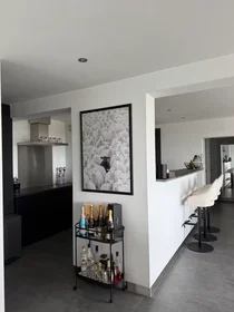 Privatzimmer in der Plantijnstraat, Cronestein, bild 5 von 10
