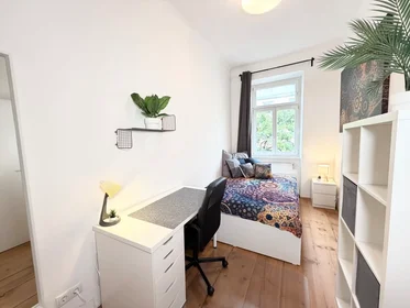 Privatzimmer in der Albertgasse, Josefstadt, bild 1 von 10