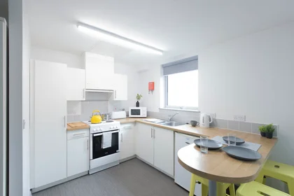Habitación privada en Bryson Court Reception Portland Road, Newcastle Upon Tyne, NE2 1DT, imagen 14 de 49
