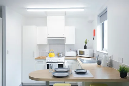 Habitación privada en Bryson Court Reception Portland Road, Newcastle Upon Tyne, NE2 1DT, imagen 15 de 49